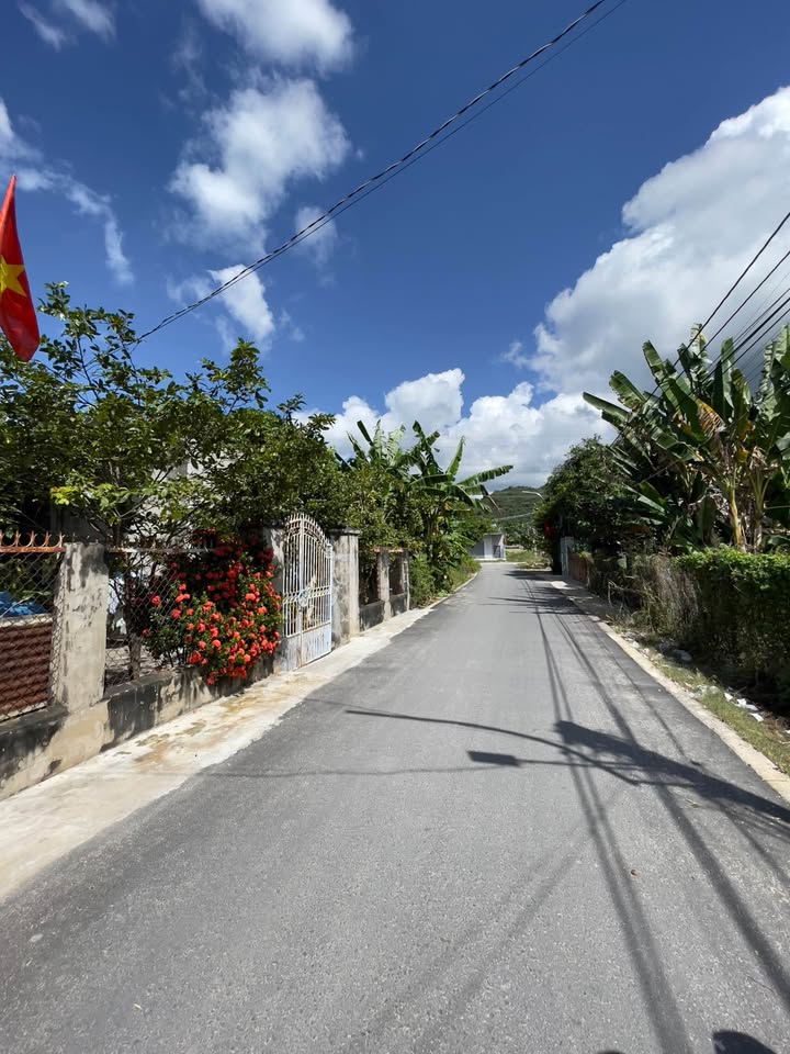 Đất thổ cư Tân Hải 143m² giá thỏa thuận - Đường rộng, tiện ích đầy đủ!