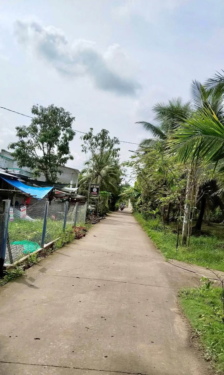 Đất nền khu phố 6, thị trấn Mỏ Cày Nam 344m² giá 1 tỷ - Đường xe hơi tới nơi!