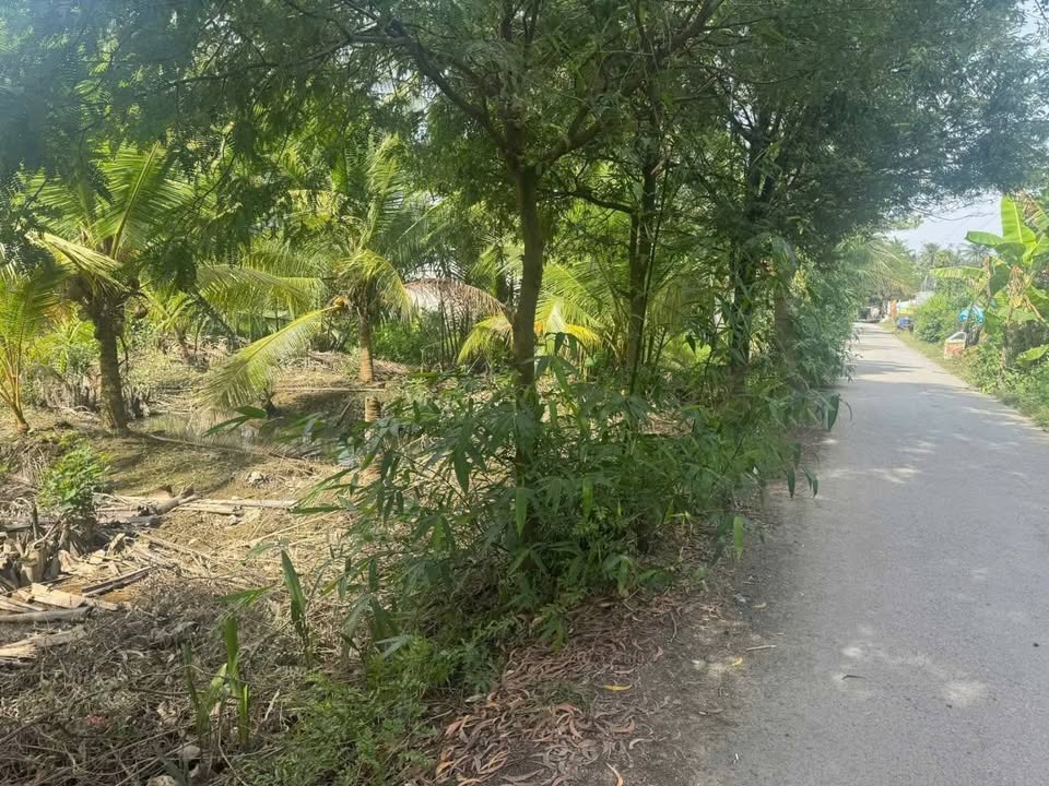 Đất nền mặt tiền đường hlo34, xã Tân Ngãi, Bến Tre 1000m² - Giá tốt chỉ 1.9 tỷ!