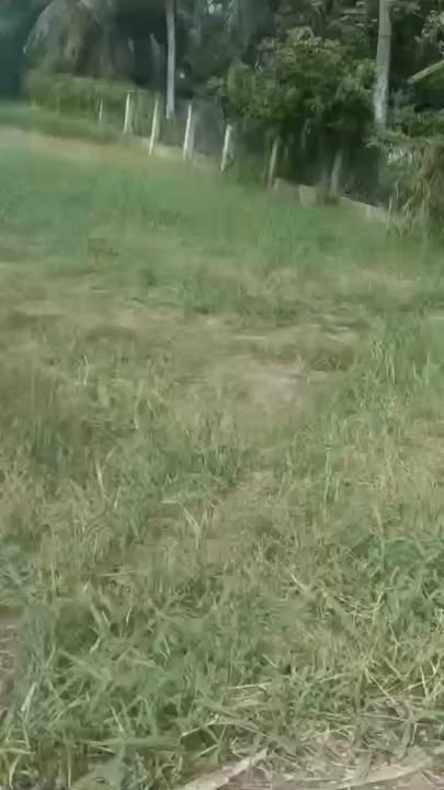 Đất nền mặt tiền đường nhựa 1200m² xã Mỹ Chánh - Giá 1.2 tỷ, kinh doanh thuận lợi!