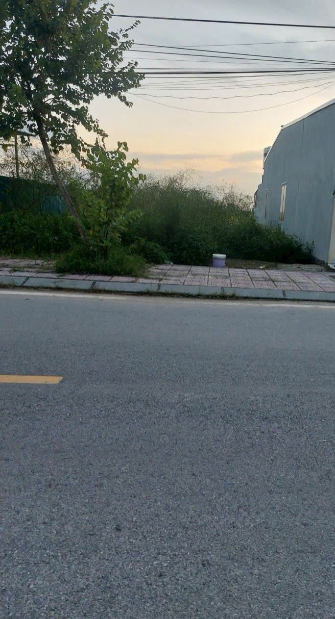 Đất liền kề Thái Tân, Nam Sách, Hải Dương 97m² - Giá chỉ 2 tỷ!