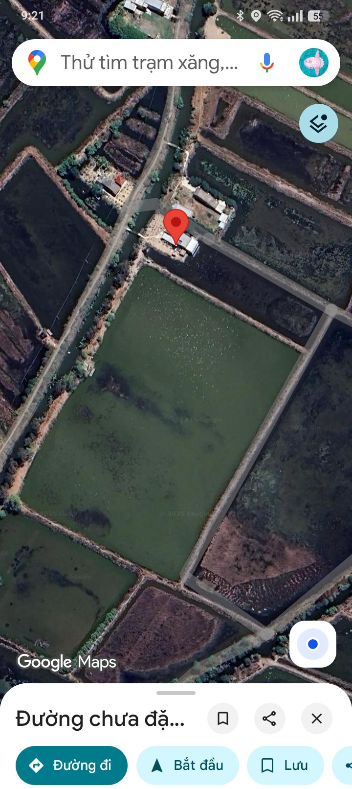 Đất nền Tân Thạnh Cà Mau 2767m² giá chỉ 500 triệu - Cơ hội đầu tư tuyệt vời!