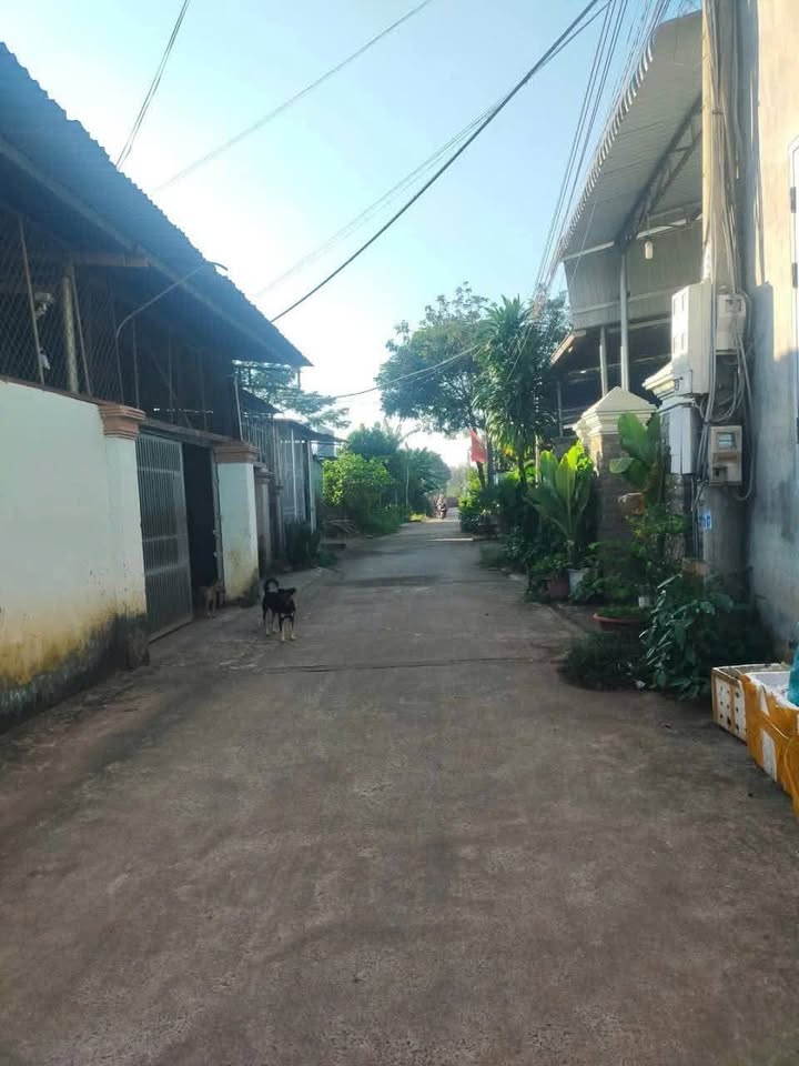 Đất nền Sơn Giang, Phước Long 147m² giá 670 triệu - Vị trí đẹp gần trường học!