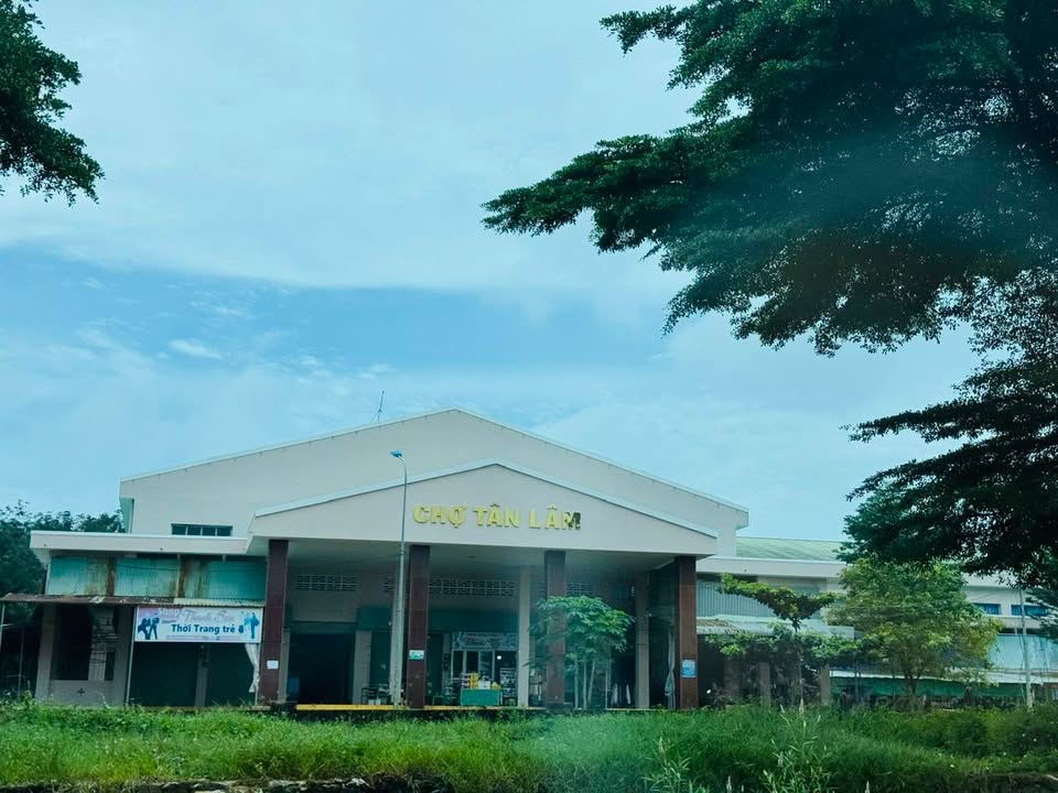 Đất Bàu Lâm Xuyên Mộc 3600m² giá 800 triệu - Sổ hồng chính chủ, không thương lượng!