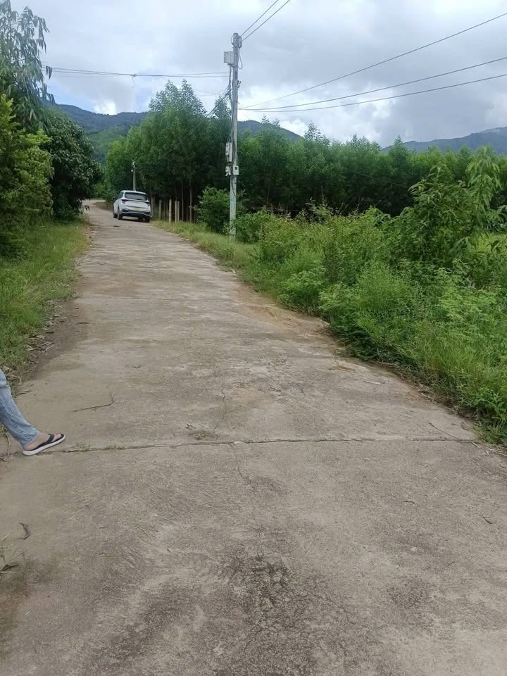 Lô đất mặt tiền đường bê tông Khánh Đông 962m² giá 800 triệu - Đầu tư sinh lời ngay!