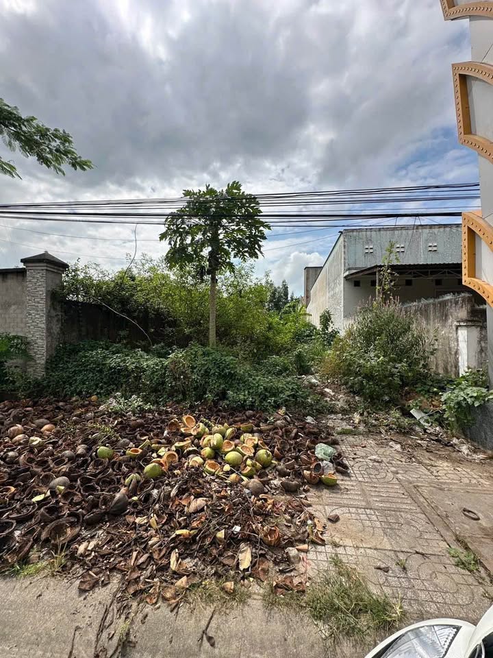 Đất nền Mặt Tiền Mạc Đỉnh Chi 382.4m² giá chỉ 600 triệu - Cơ hội đầu tư tuyệt vời!