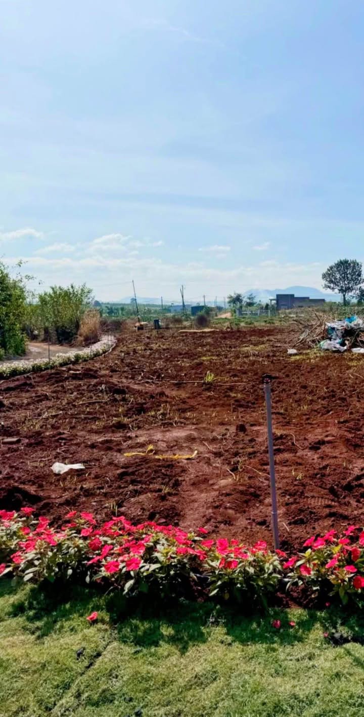 Đất nền Tân Hội 173m² giá 420 triệu - Sổ hồng riêng, đầu tư sinh lời!