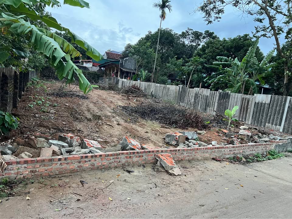 Đất thổ cư đẹp tại thôn Minh Hồng, Tam Đảo - Chỉ từ 900 triệu VND!