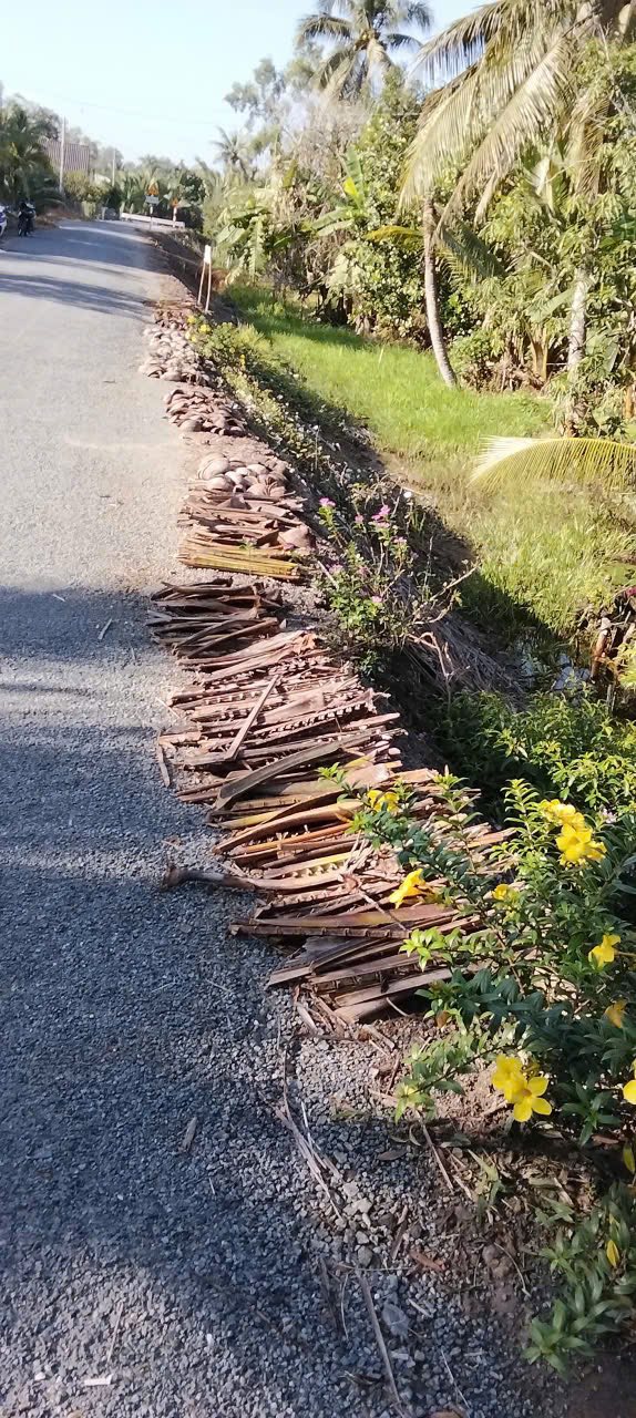 Đất nền xã Cái Nhum 7000m² giá 5.04 tỷ - Vị trí đẹp, đầu tư sinh lời!