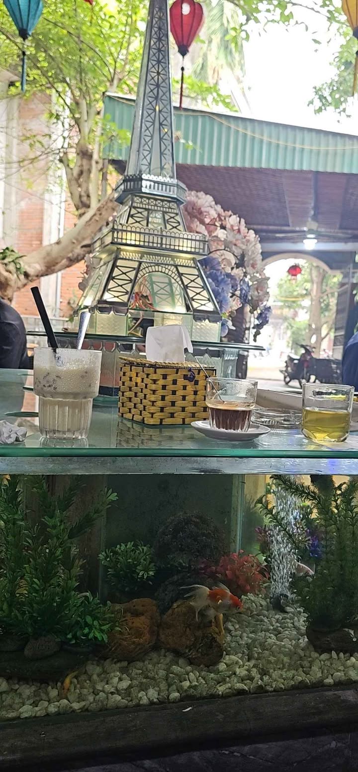 Lô đất đẹp tại Quảng Đông 85m² giá 1 tỷ - Vị trí thuận lợi gần Võ Nguyên Giáp!