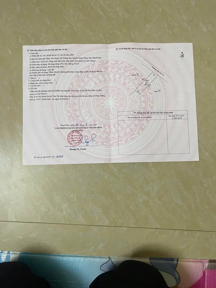 Đất nền Tượng Lĩnh, Nông Cống 260m² giá chỉ 600 triệu - Cơ hội đầu tư tuyệt vời!