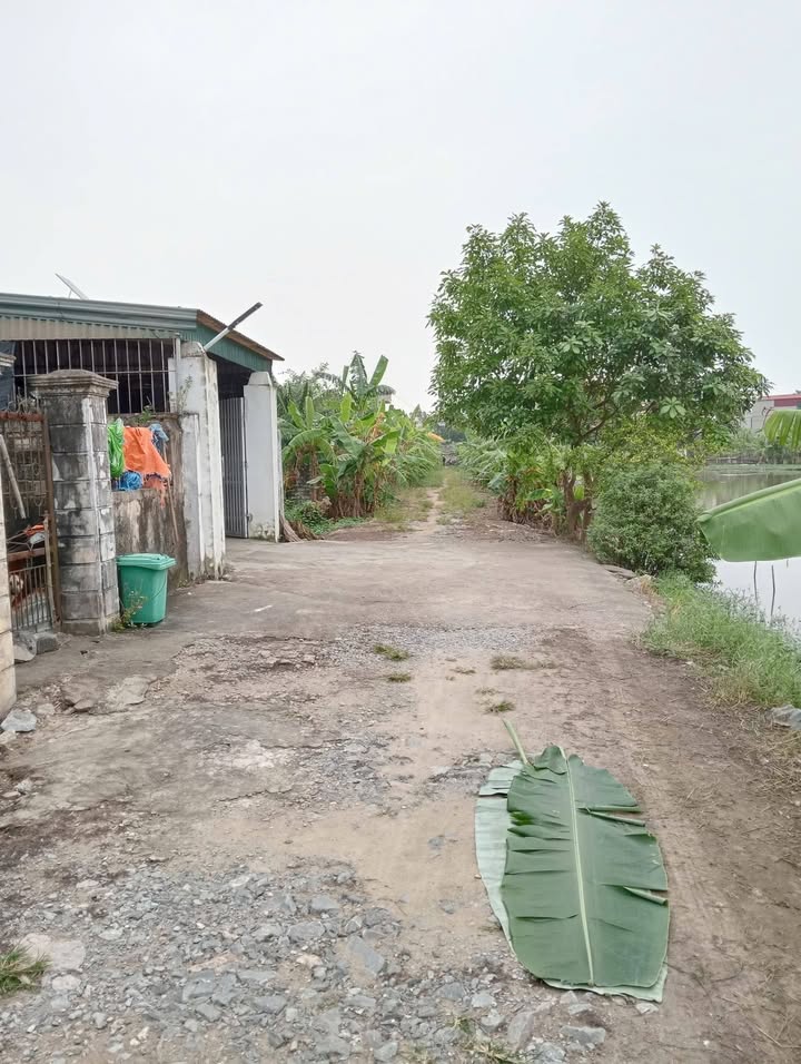 Đất nền 110m² tại Phường Quảng Phú, giá chỉ 1.75 tỷ - Tiềm năng đầu tư vượt bậc!