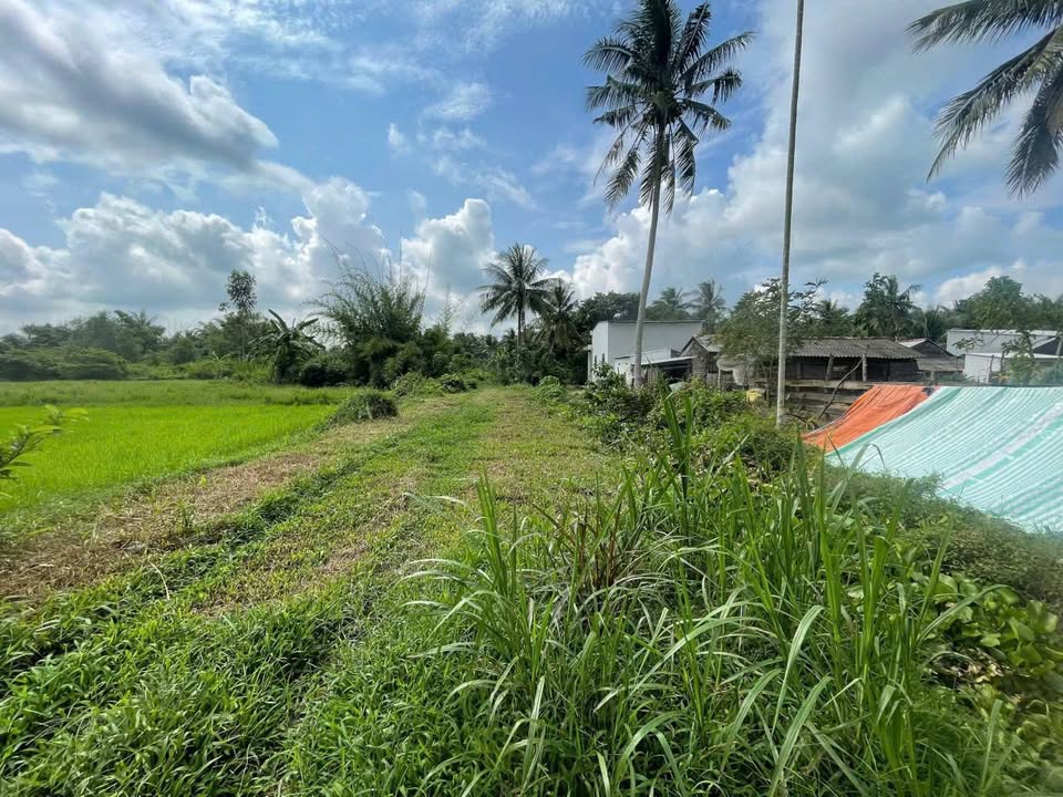 Đất Mặt Tiền Mậu Thân 15,711m² giá 3.768 tỷ - Cơ hội đầu tư hiếm có!