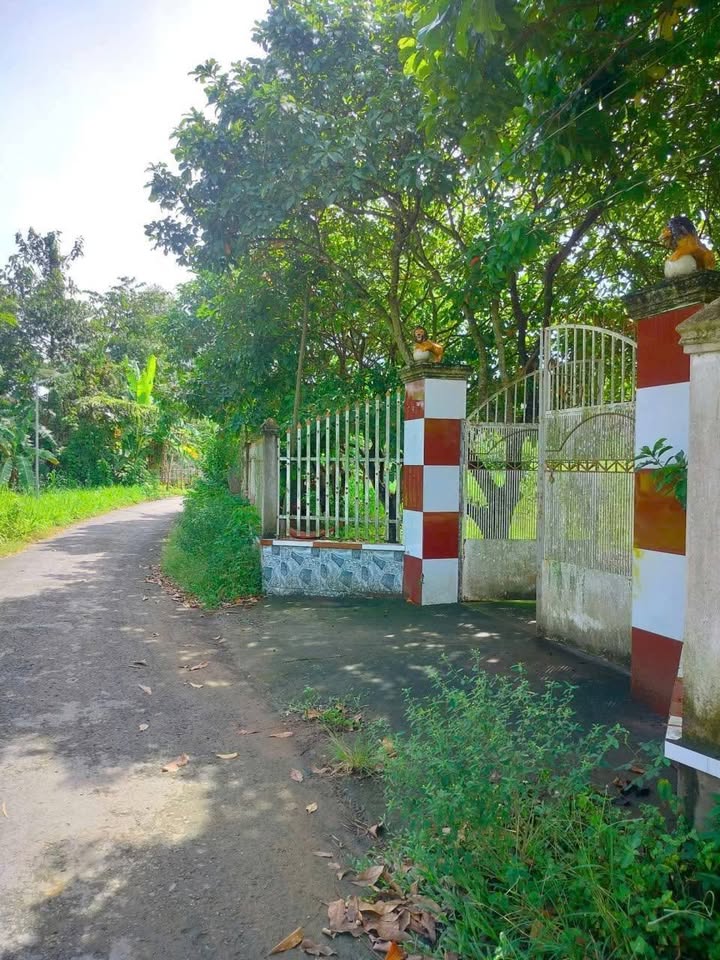 Đất nhà vườn Mỹ Nghĩa, Châu Thành 1540m² giá 1.1 tỷ - Sổ hồng chính chủ!