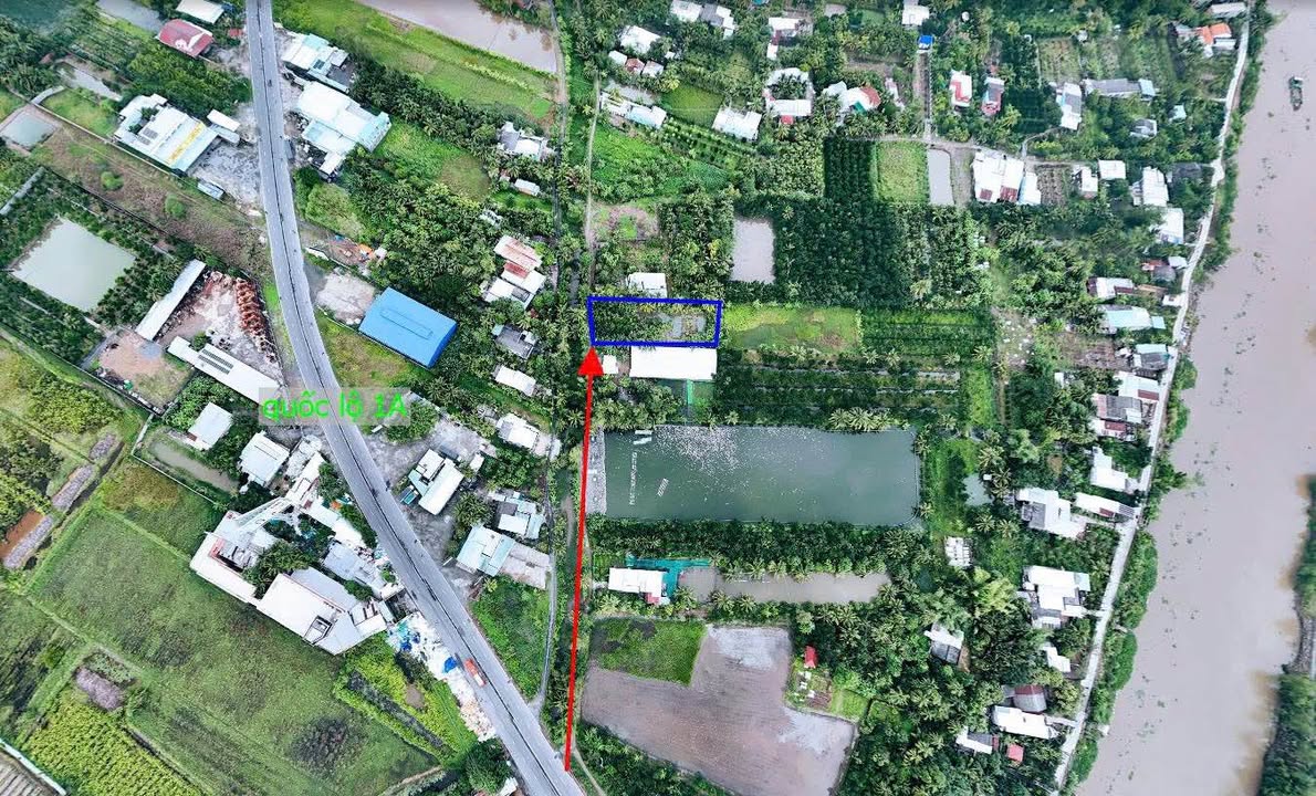 Đất nền Tân Hạnh Vĩnh Long 1481m² giá 4.445 tỷ - Đầu tư sinh lời ngay!