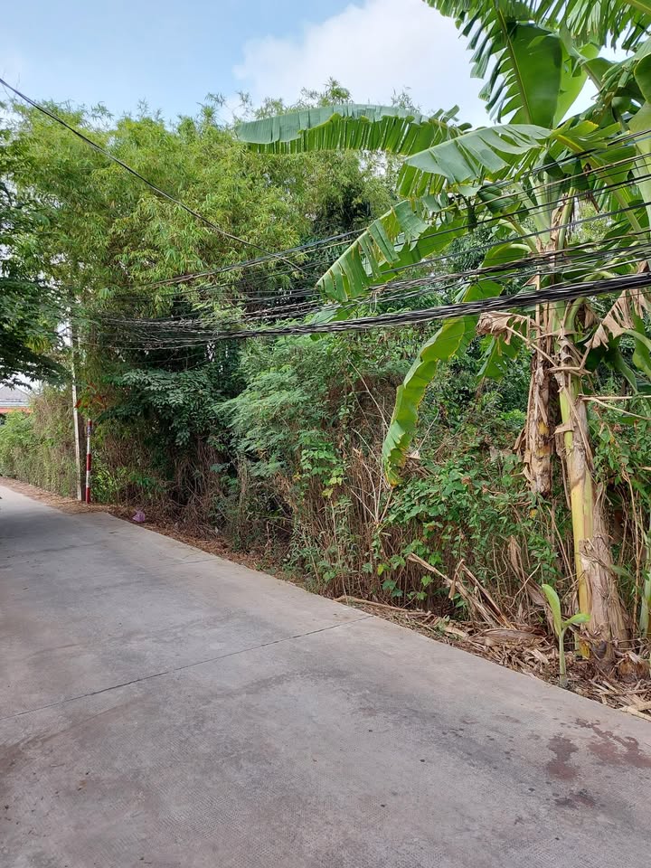 Đất nền 740m² tại ấp Lộc Tiền, Cần Giuộc - Sổ đỏ chính chủ, giá 5.95 tỷ!