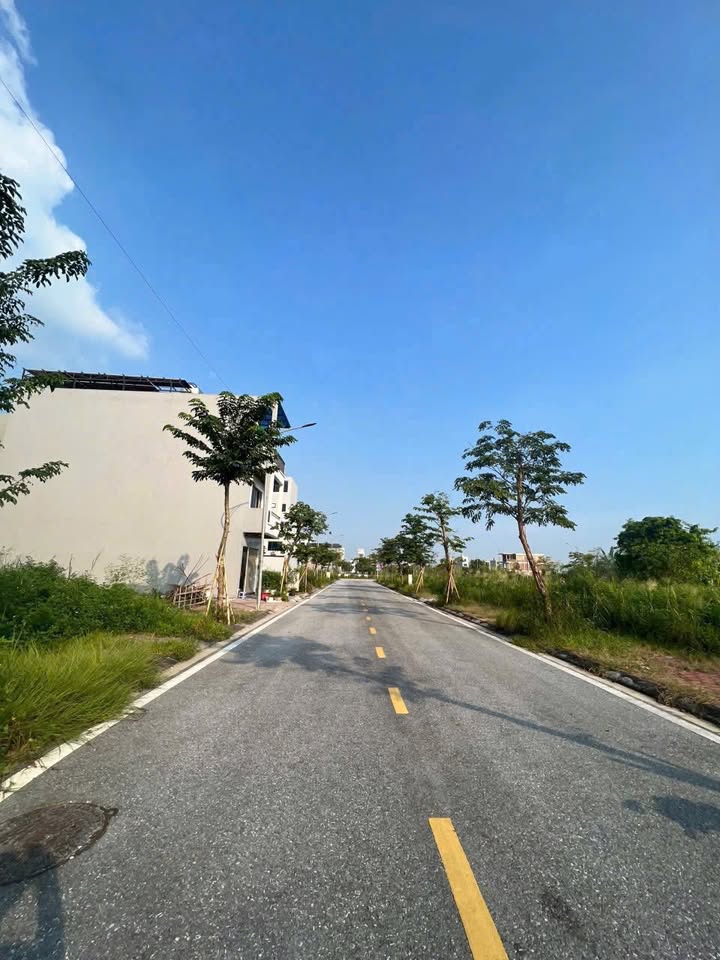 Đất nền Tân Phú Hưng Hải Dương 67m² giá 3.1 tỷ - Cơ hội đầu tư hiếm có!