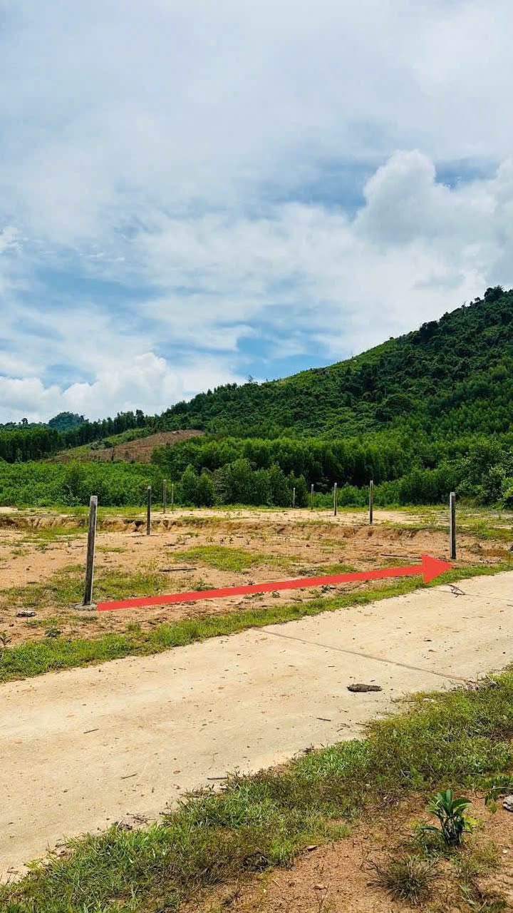 Đất thổ cư Khánh Đông 252m² giá 200 triệu - Sổ đỏ chính chủ ngay!”