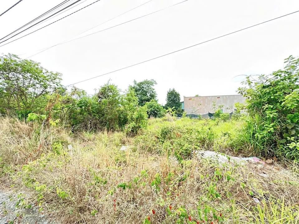 Đất thổ cư Trảng Dài Biên Hòa 119m² giá chỉ 1,35 tỷ - Đầu tư sinh lời!