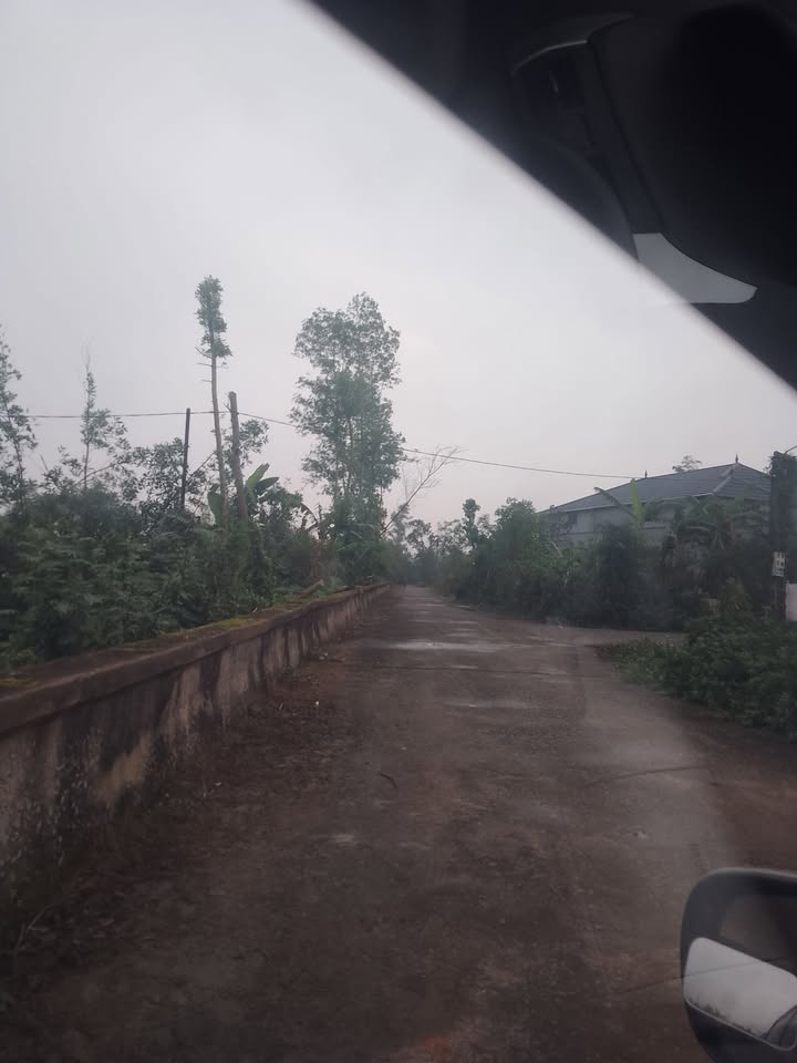 Đất nền khu phố Phúc Sơn, thị trấn Nghèn 200m² giá 1.2 tỷ - Cơ hội đầu tư tuyệt vời!