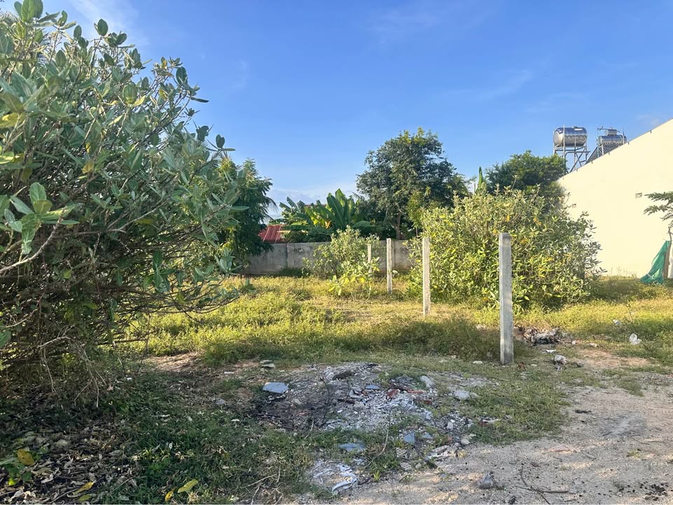 Đất mặt tiền Mương Bình Quý, Ninh Phước 118m² giá 850 triệu - Đầu tư sinh lời ngay!