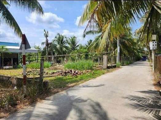 Đất nền Phú Nhuận Bến Tre 115m² giá 850 triệu - Kinh doanh thuận lợi!