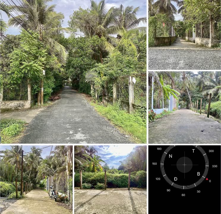 Bán đất tại xã Bình Phú, TP Bến Tre 300m² - Khu vực phát triển, giá chỉ 1.35 tỷ!