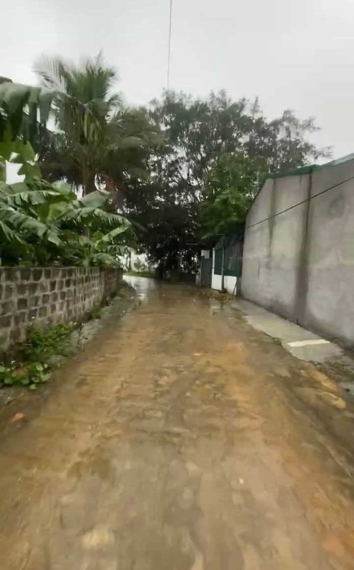 Đất nền Lạc Thủy Hòa Bình 360m² giá chỉ 600 triệu - Cơ hội đầu tư hấp dẫn!