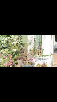 Đất nền Quốc lộ 19, Đức Cơ 300m² - Đất bằng đẹp, giá thỏa thuận!