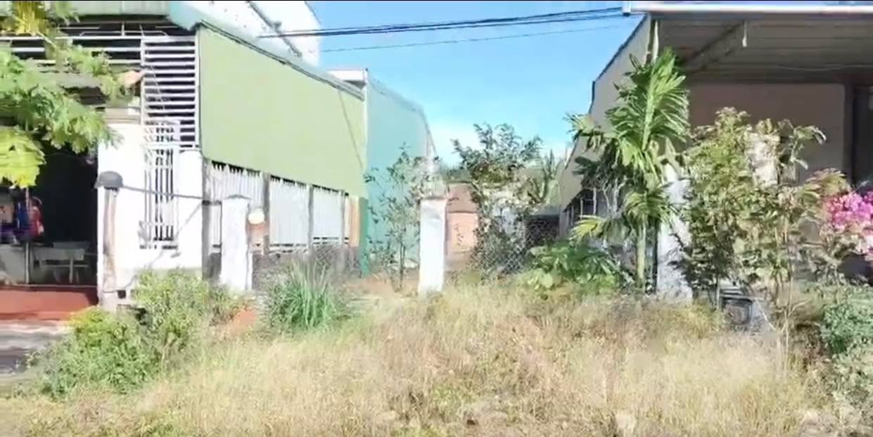 Đất nền Quốc lộ 19, Đức Cơ, 300m² - Cơ hội đầu tư hiếm có!