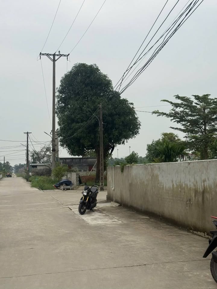 Đất nền Quảng Phú, Thanh Hóa 85m² - Sổ đỏ chính chủ, đầu tư tiềm năng!