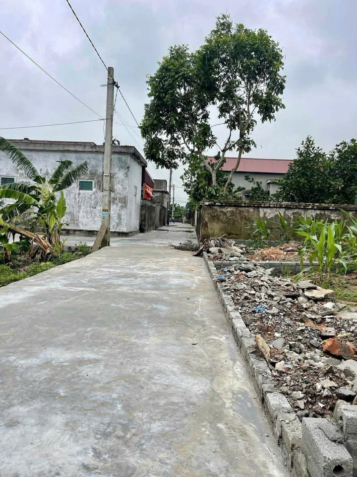 Đất nền xã Tân Thành, huyện Vụ Bản 120m² - Cơ hội vàng cho nhà đầu tư!