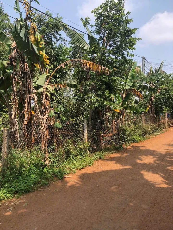 Đất đầu tư Hòa Thắng Buôn Ma Thuột 774m² giá 3.78 tỷ - Tiềm năng sinh lời cao!