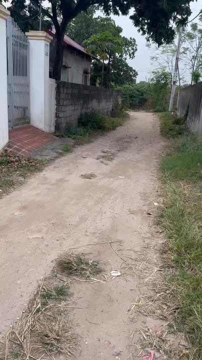 Đất nền thôn Lương Xá, Kim Động, Hưng Yên - 112m² giá chỉ 1.4 tỷ - Cơ hội đầu tư sinh lời!