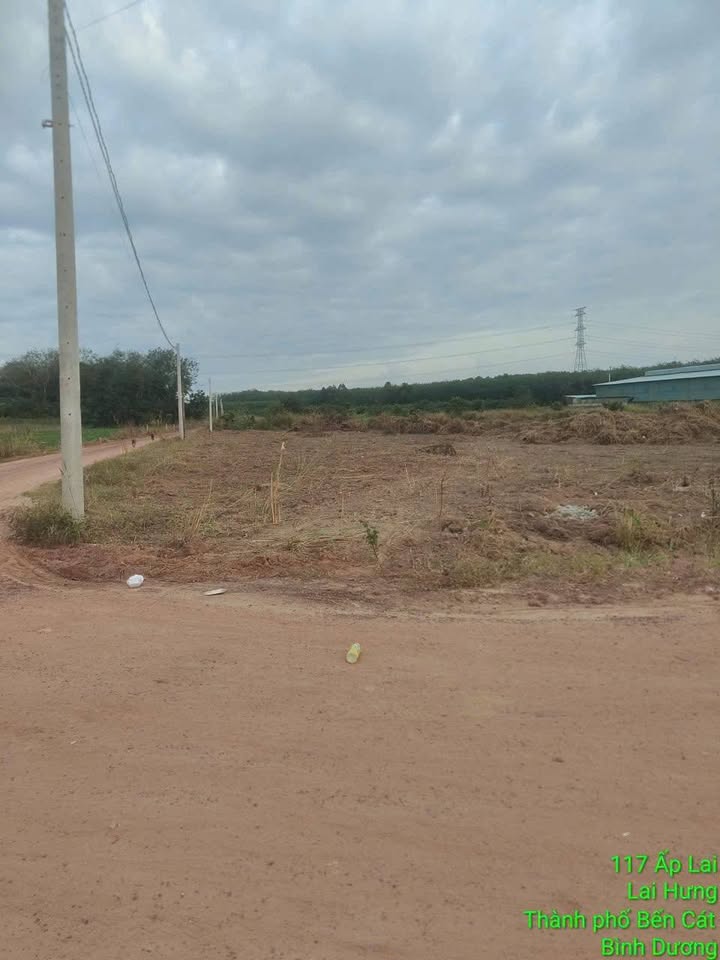 Đất nền Long Nguyên, Bàu Bàng 1410m² - Giá thương lượng hấp dẫn!