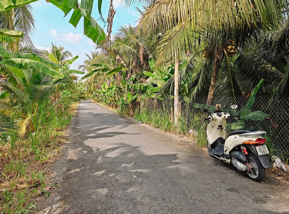 Đất thổ cư Lương Hòa Lạc 1954m² giá 3.2 tỷ - Cơ hội đầu tư hiếm có!