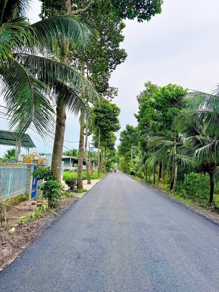 Đất 2 mặt tiền Trần Thị Thơm, Tân Mỹ Chánh, 117m² giá 1.3 tỷ - Đầu tư sinh lời cao!