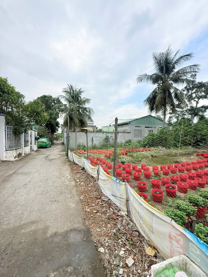 Đất nền Mỹ Phong, Mỹ Tho 225m² giá 1.49 tỷ - Vị trí đẹp gần trung tâm!