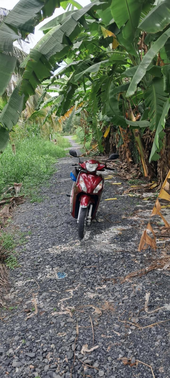 Đất nông nghiệp 6600m² tại Ấp Bình Trung, Gò Công Tây - Giá chỉ 5.5 tỷ!