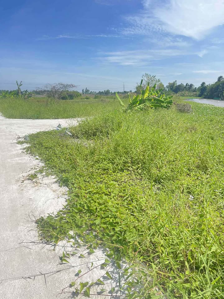 Đất nền ấp Phước Hoà, Châu Thành, 110m² chỉ 180 triệu - Cơ hội đầu tư tuyệt vời!