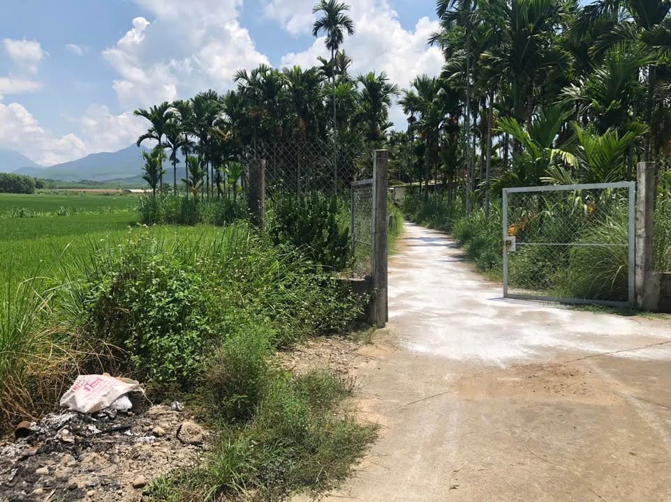 Đất nền Nghĩa Điền Tư Nghĩa 607m² giá chỉ từ 1xx triệu - Cơ hội đầu tư tuyệt vời!