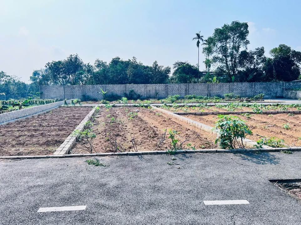 Đất thổ cư Bình Yên Thạch Thất 63m² giá 1.7 tỷ - Phong thủy tốt, sổ đỏ chính chủ!