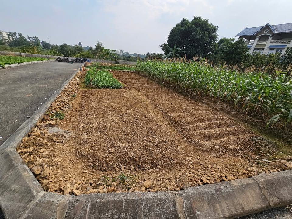 Đất nền 100m² Phú Cát Quốc Oai giá chỉ 2 tỷ - Sẵn sàng xây dựng!