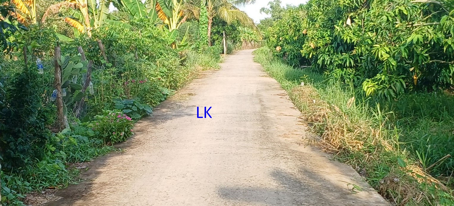 Đất thổ cư 370m² tại Mỹ Thọ, Đồng Tháp - Giá 680 triệu, giao thông thuận lợi!