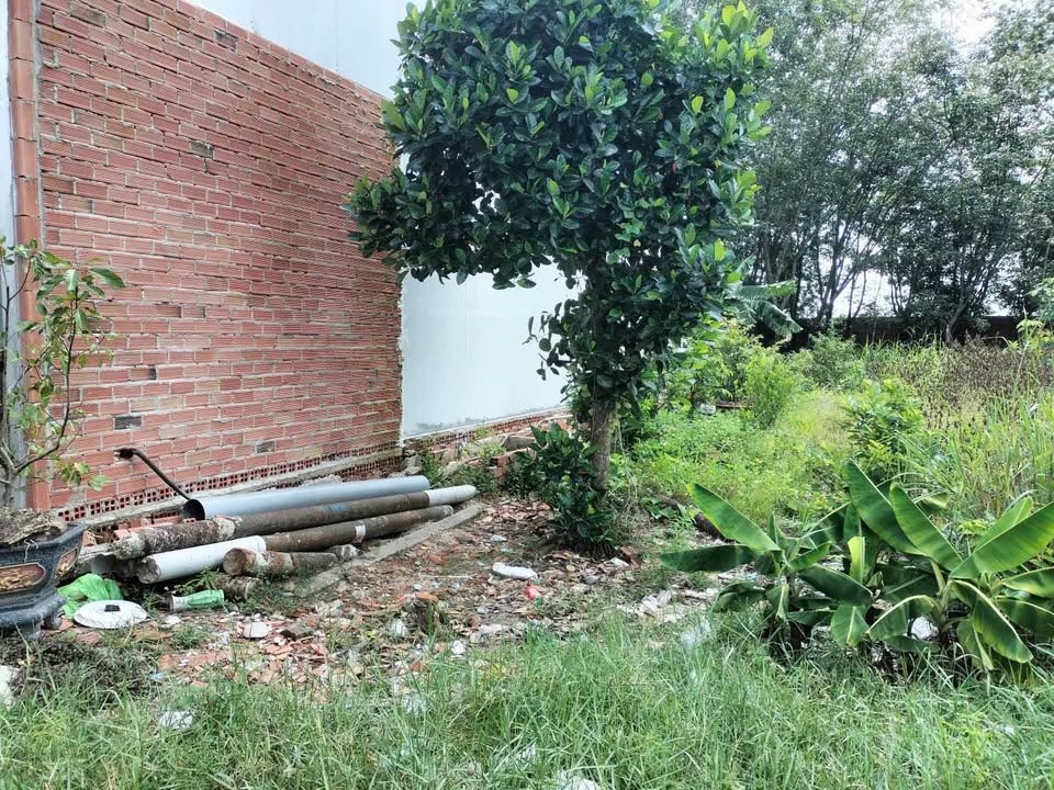 Đất thổ cư 212m² tại hẻm 9 Huỳnh Tấn Phát, Tây Ninh - Giá chỉ 2.432 tỷ!