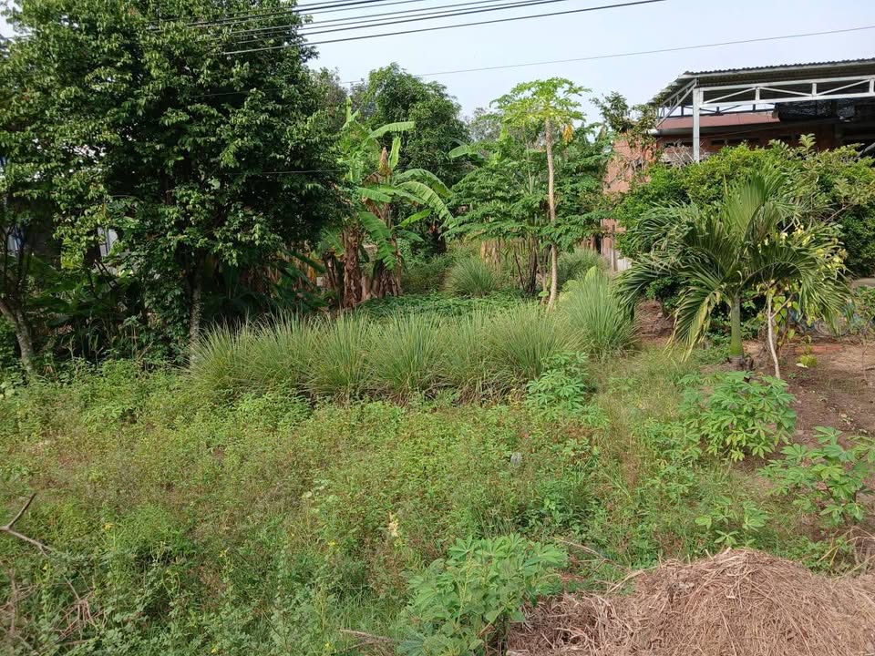 Đất nền Phước Minh, Dương Minh Châu 900m² - Đầu tư sinh lời hấp dẫn!