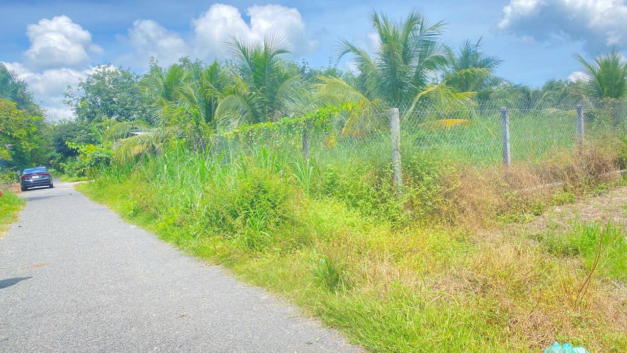 Bán đất 500m² có vườn dừa tại ấp Giồng Tre, Tây Ninh - Giá chỉ 550 triệu!