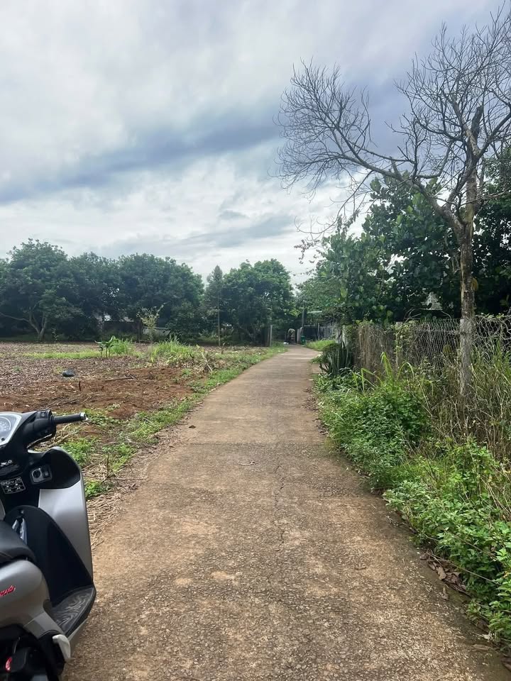 Đất nền Bình Lộc, Long Khánh 72m², giá chỉ 750 triệu - Cơ hội đầu tư tuyệt vời!