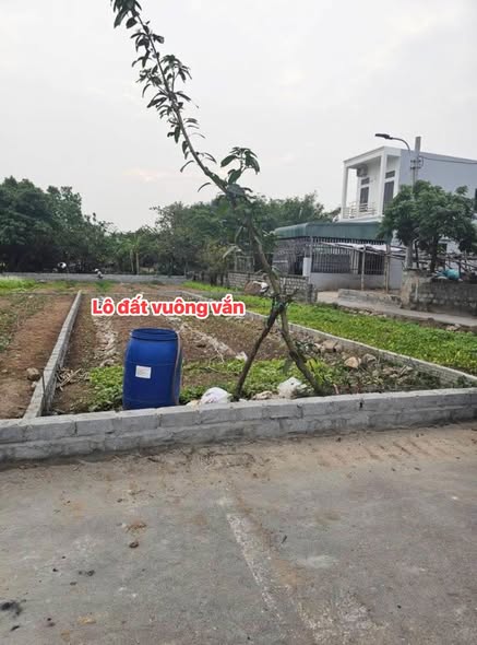 Đất nền Xóm 5 Liêm Chung - Phủ Lý 101m² giá 2 tỷ - Đất vuông vắn, tiện ích xung quanh