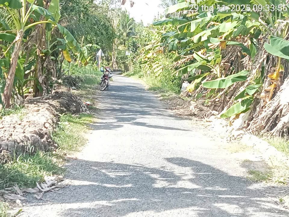 Đất lộ nhựa 6.631m² Tân Ngãi, Vĩnh Long giá chỉ 6.63 tỷ - Tiềm năng đầu tư cao!